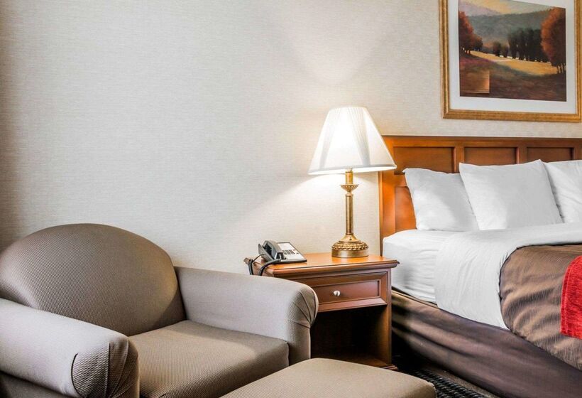 בית מלון כפרי Comfort Inn Utica