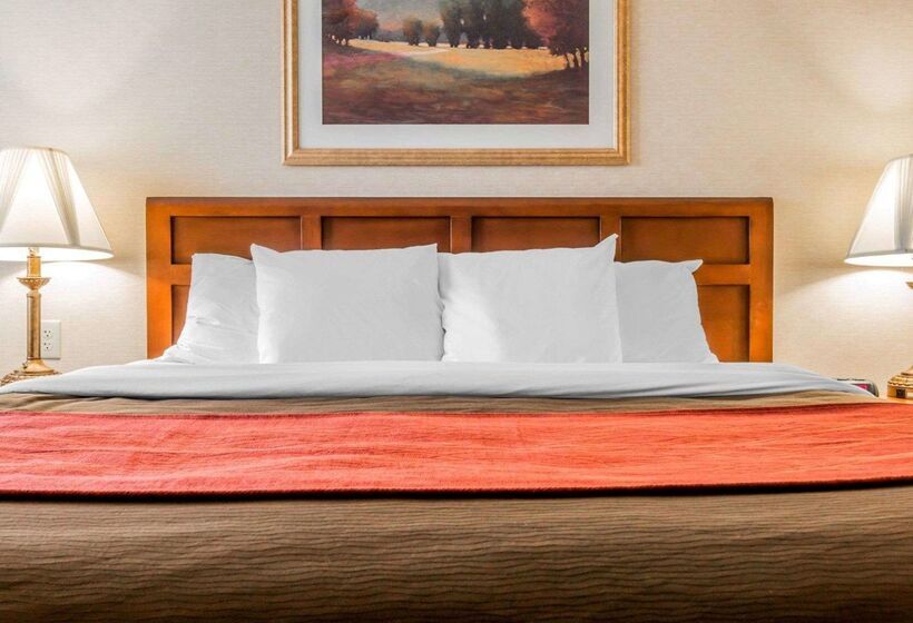 בית מלון כפרי Comfort Inn Utica