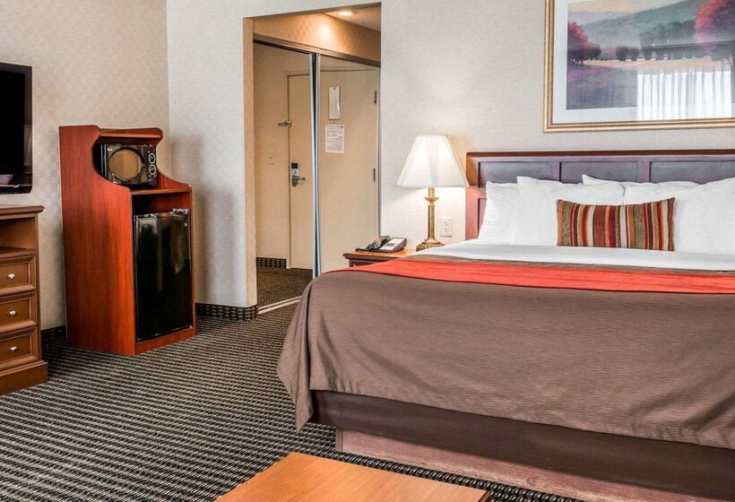 בית מלון כפרי Comfort Inn Utica