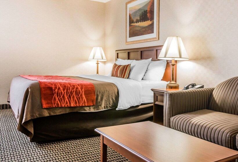 בית מלון כפרי Comfort Inn Utica