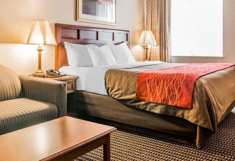בית מלון כפרי Comfort Inn Utica