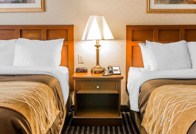 בית מלון כפרי Comfort Inn Utica