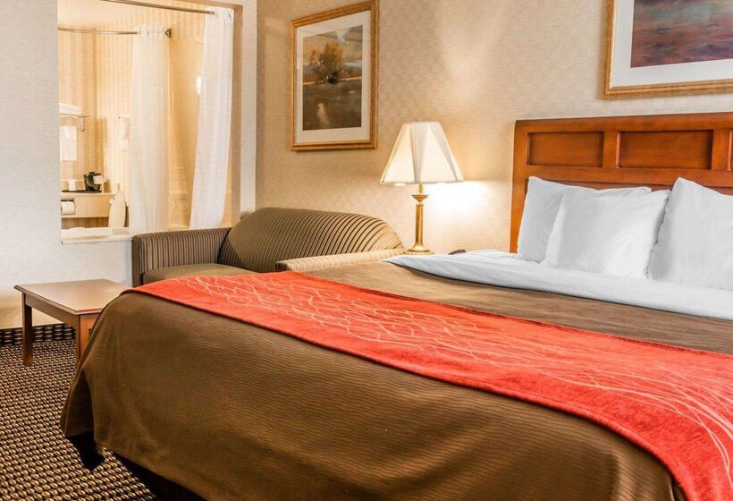 בית מלון כפרי Comfort Inn Utica
