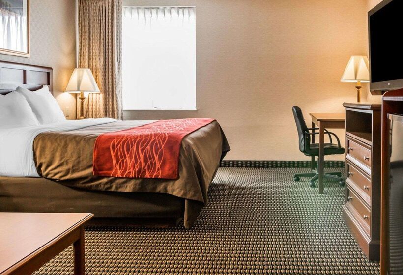 בית מלון כפרי Comfort Inn Utica