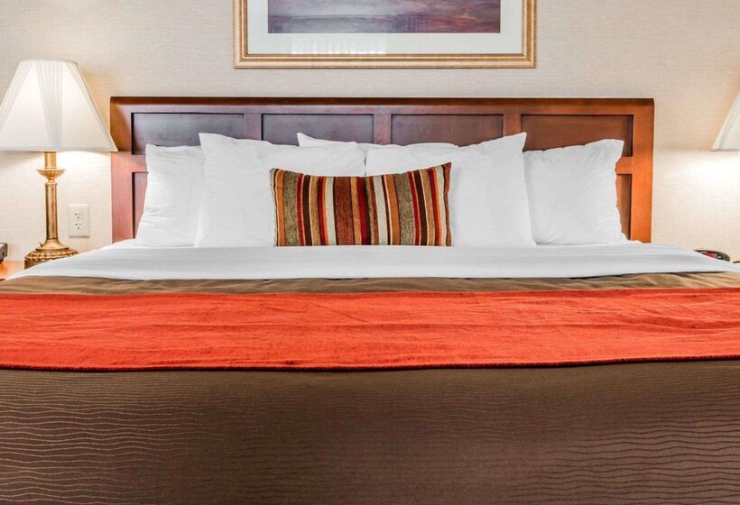 בית מלון כפרי Comfort Inn Utica