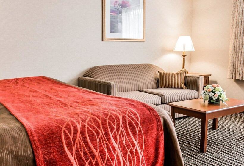 בית מלון כפרי Comfort Inn Utica
