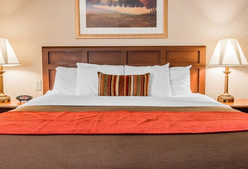 בית מלון כפרי Comfort Inn Utica