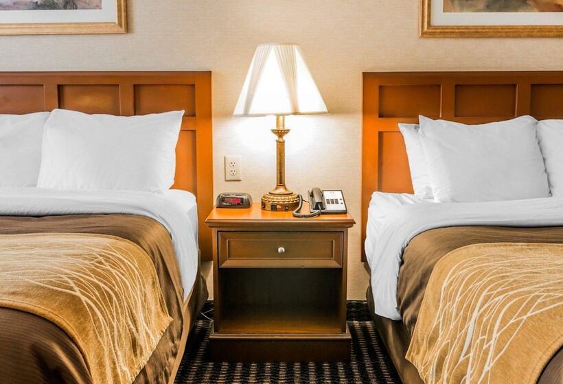 בית מלון כפרי Comfort Inn Utica