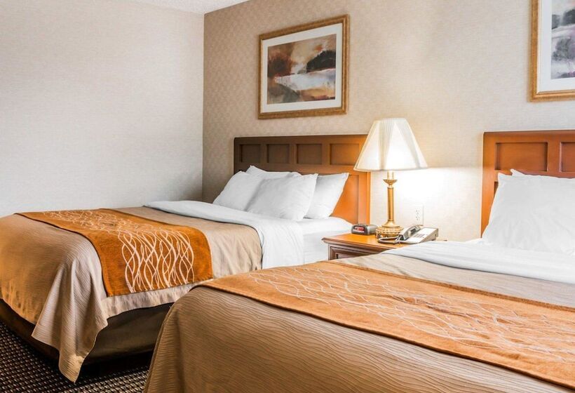 בית מלון כפרי Comfort Inn Utica