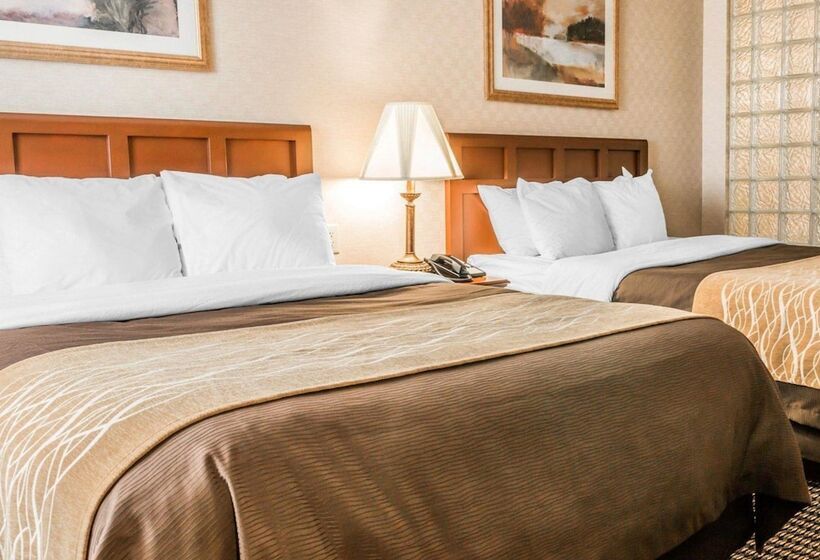 בית מלון כפרי Comfort Inn Utica