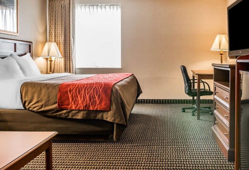 בית מלון כפרי Comfort Inn Utica