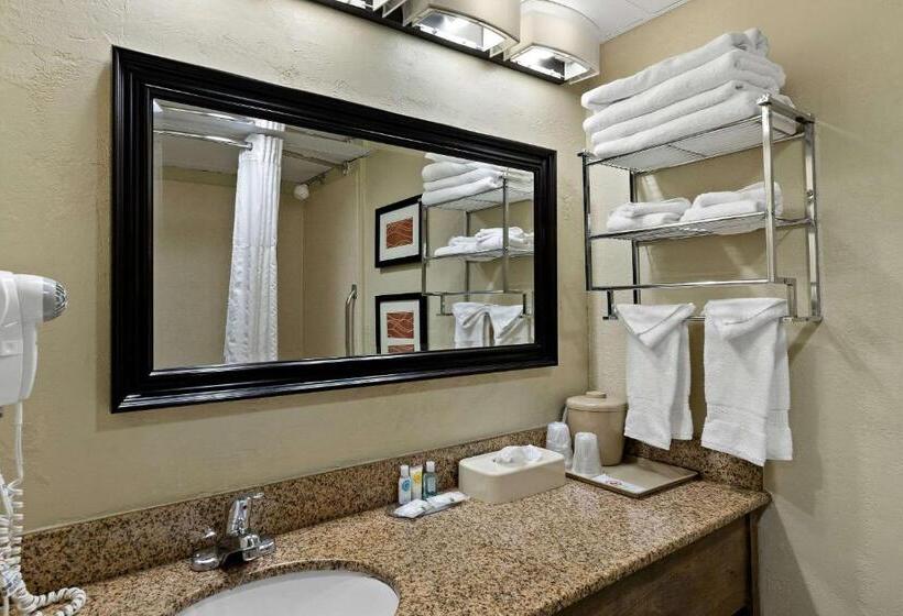 فندق Comfort Inn Wytheville