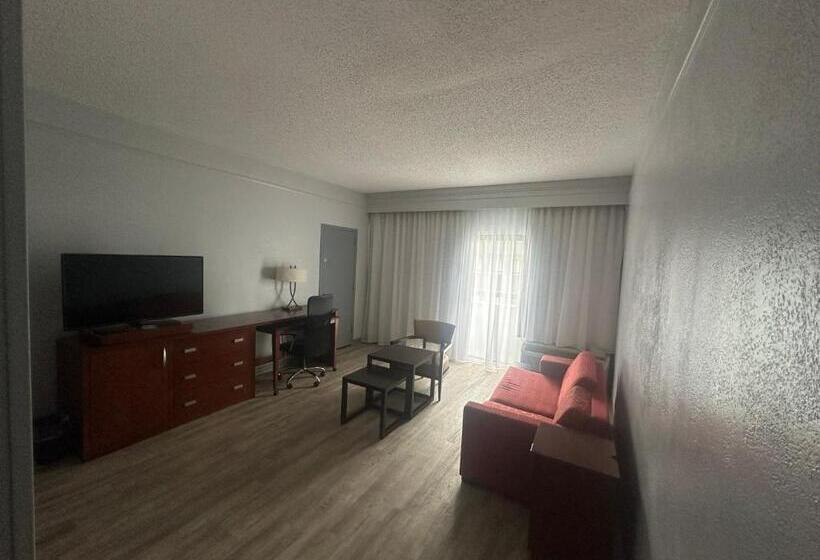 فندق Super 8 By Wyndham Dallas Love Field Airport