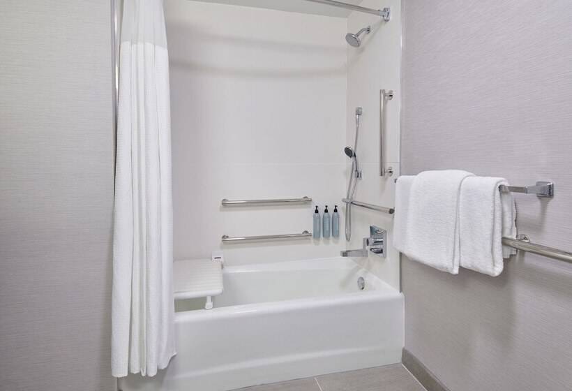 酒店 Courtyard Detroit Metro Airport Romulus