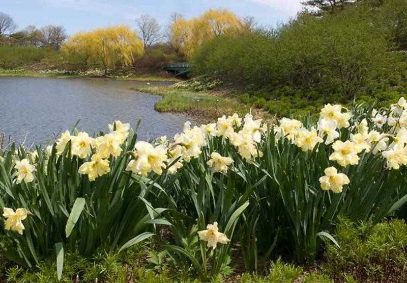 호텔 Courtyard Chicago Highland Park/northbrook