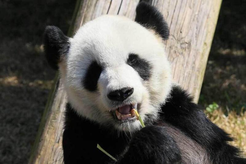 酒店 Courtyard By Marriott Memphis Airport