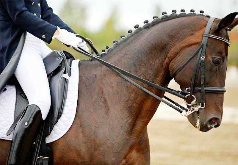 فندق Courtyard Philadelphia Devon/villanova