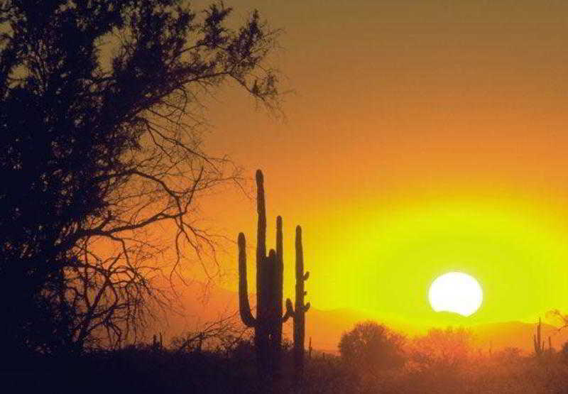 هتل Courtyard By Marriott Phoenix North