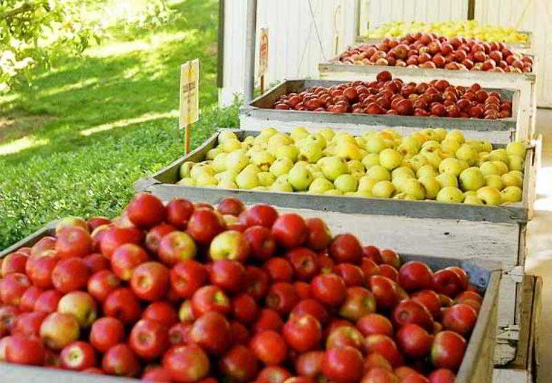 酒店 Courtyard Sacramento Rancho Cordova