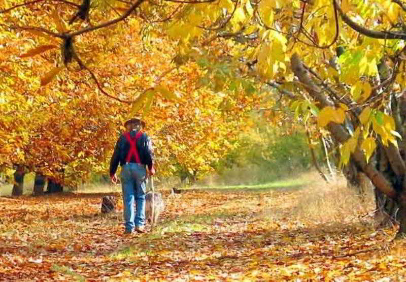 酒店 Courtyard Sacramento Rancho Cordova