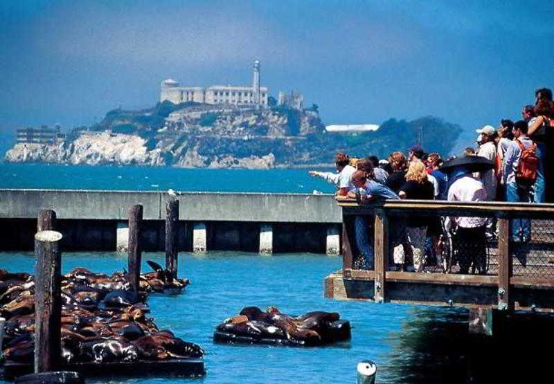 호텔 Courtyard By Marriott San Francisco Airport