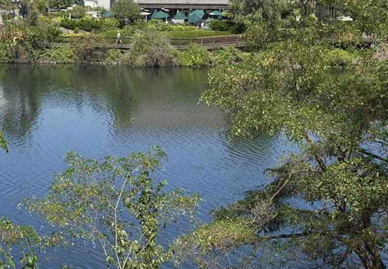 酒店 Courtyard Spokane Downtown At The Convention Center