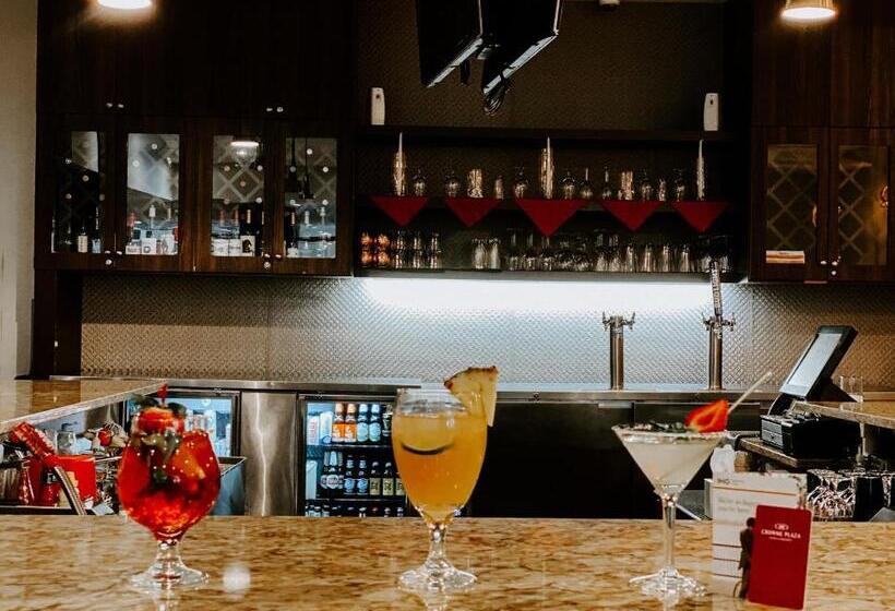 هتل Crowne Plaza Chicago Sw   Burr Ridge, An Ihg