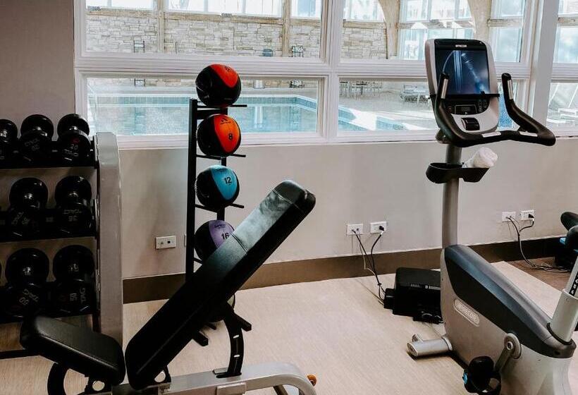 هتل Crowne Plaza Chicago Sw   Burr Ridge, An Ihg