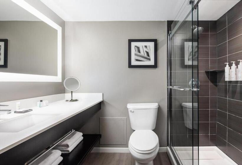 ホテル Dallas Addison Marriott Quorum By The Galleria