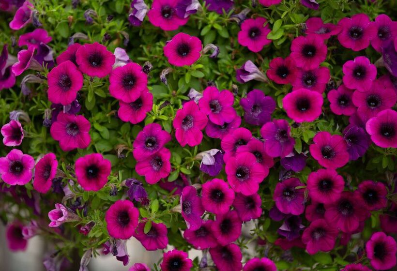 فندق Days Inn By Wyndham Coeur D'alene