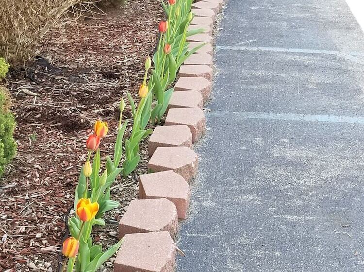 ホテル Days Inn By Wyndham Holland