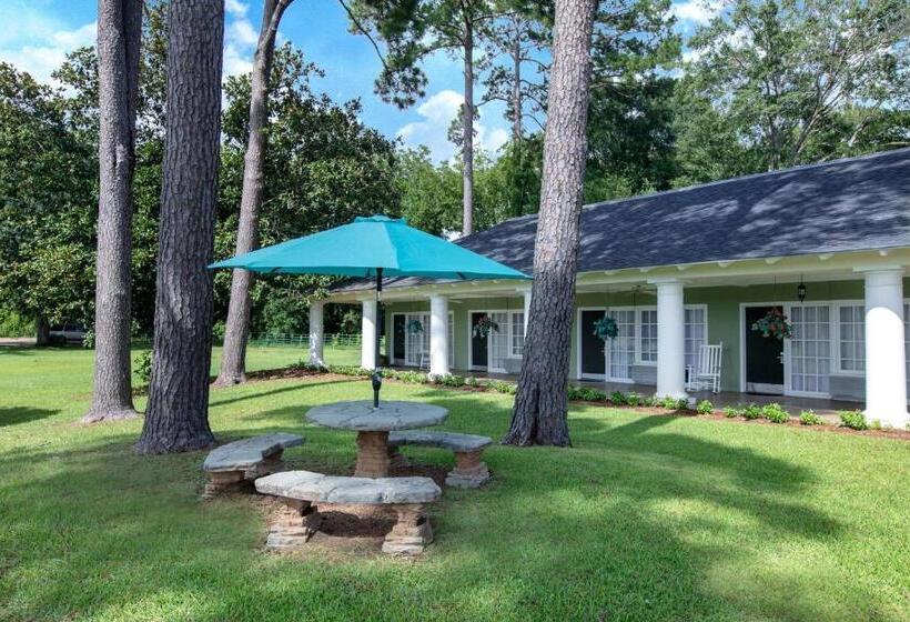 فندق Days Inn By Wyndham Natchez