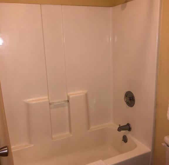 בית מלון כפרי Days Inn By Wyndham Natchez