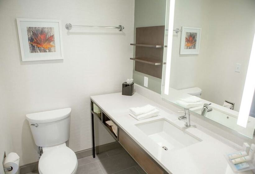 호텔 Hilton Garden Inn Corning Downtown