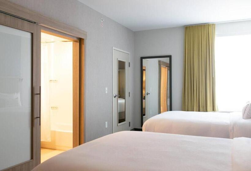 ホテル Springhill Suites By Marriott South Bend Notre Dame Area