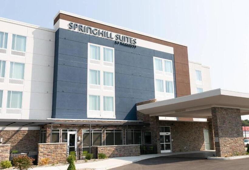 Отель Springhill Suites By Marriott South Bend Notre Dame Area