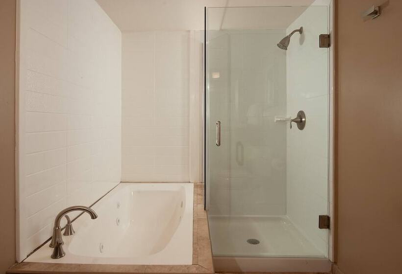 Delta Hotels By Marriott Orlando Lake Buena Vista