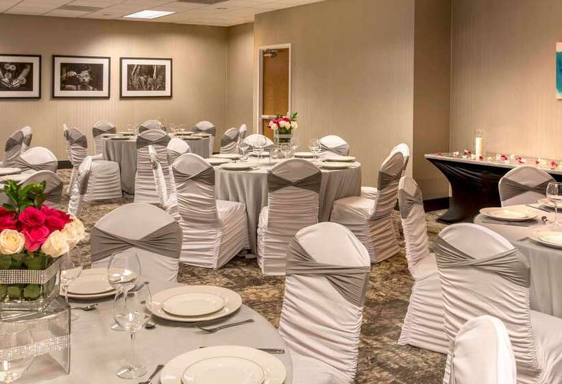 ホテル Doubletree By Hilton Chicago Schaumburg