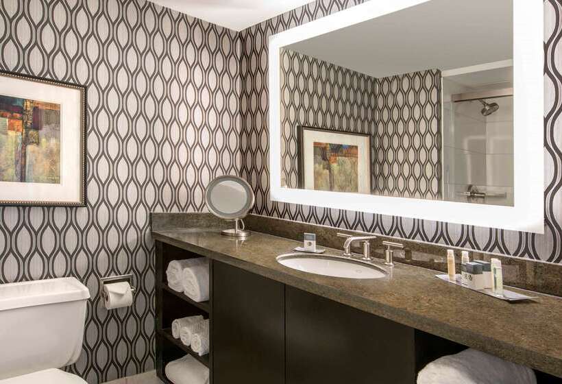 هتل Doubletree By Hilton Chicago Schaumburg