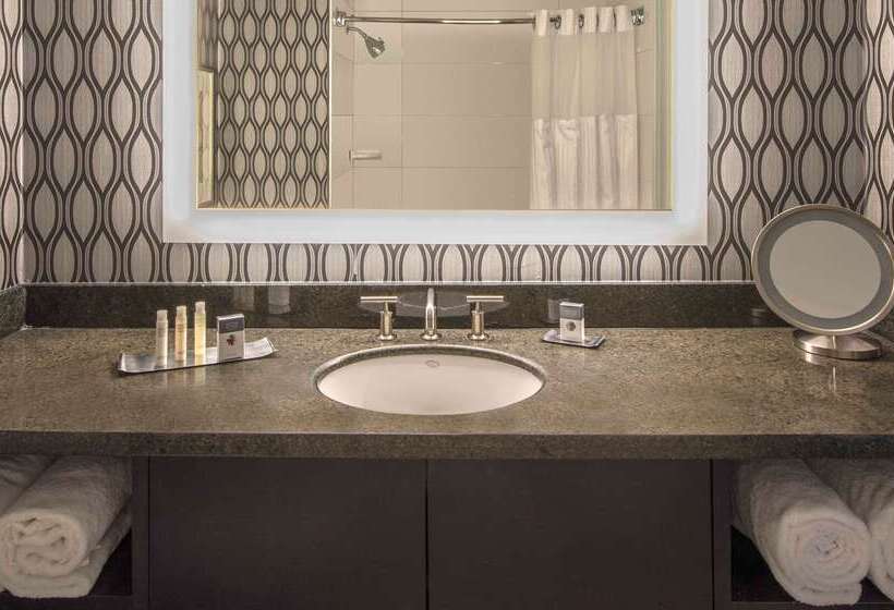 ホテル Doubletree By Hilton Chicago Schaumburg