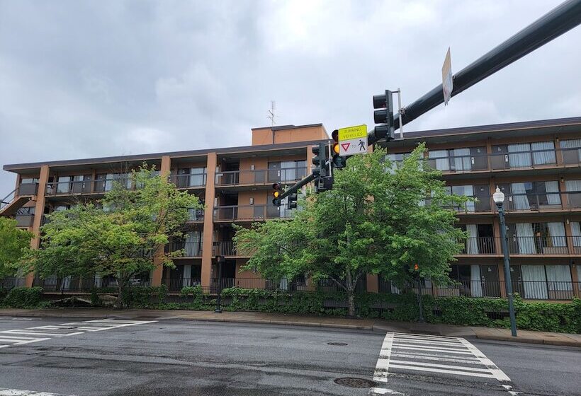 فندق Downtown Inn