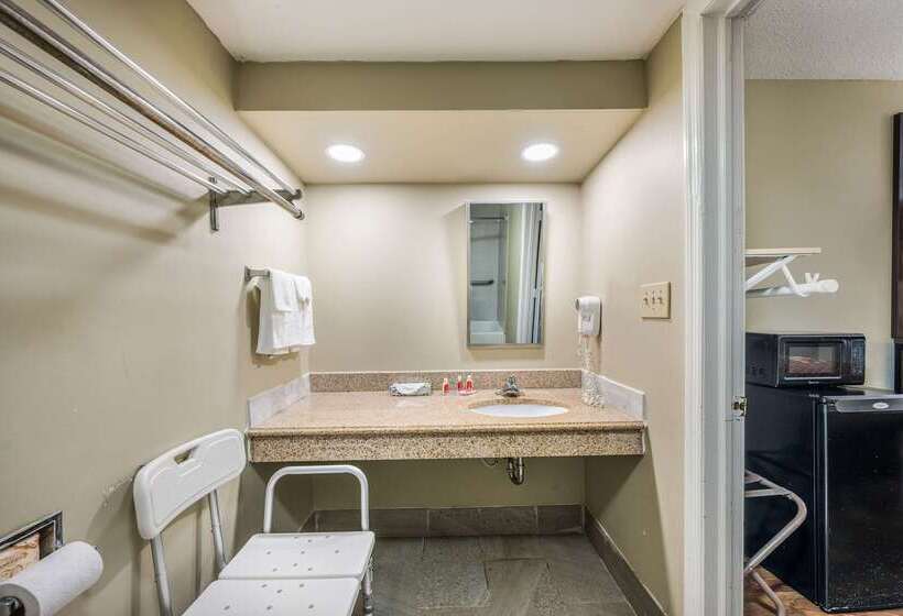 ホテル Econo Lodge Inn & Suites University