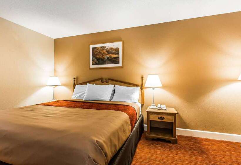 هتل Econo Lodge Inn & Suites University