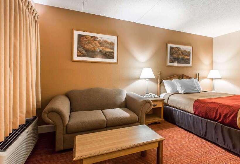 ホテル Econo Lodge Inn & Suites University