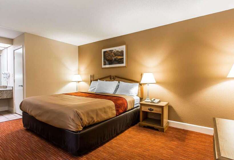 ホテル Econo Lodge Inn & Suites University