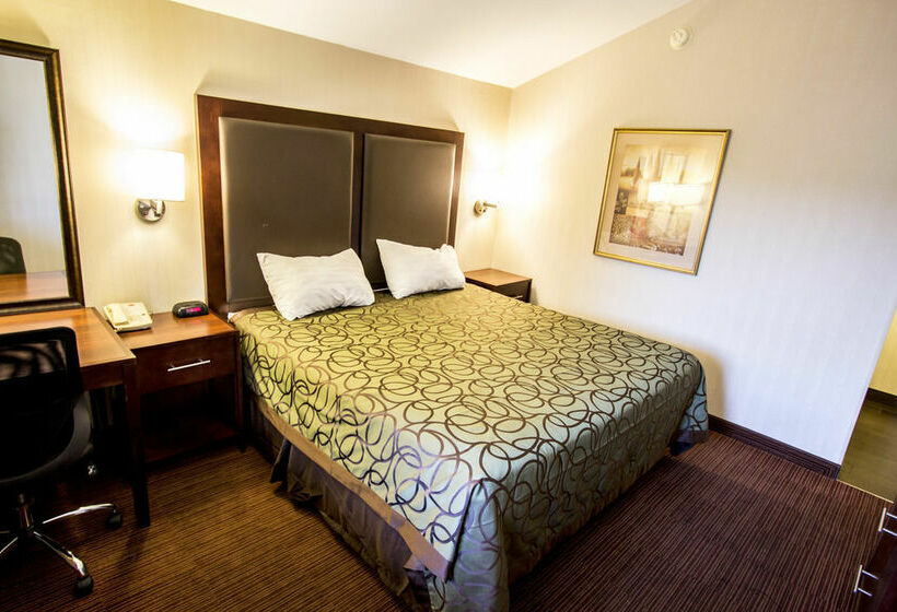 酒店 Econo Lodge University