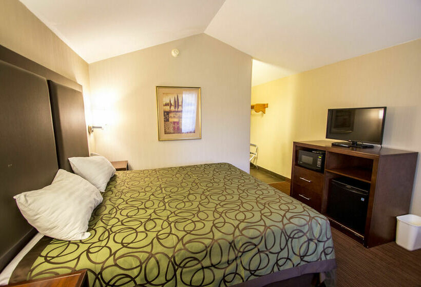 酒店 Econo Lodge University