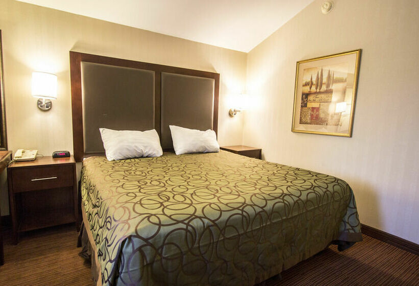 酒店 Econo Lodge University