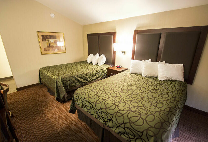 酒店 Econo Lodge University