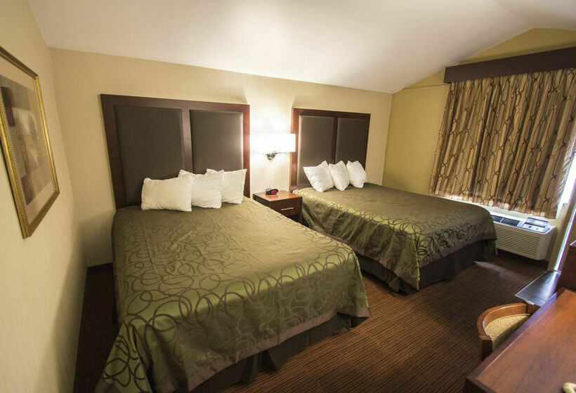 酒店 Econo Lodge University